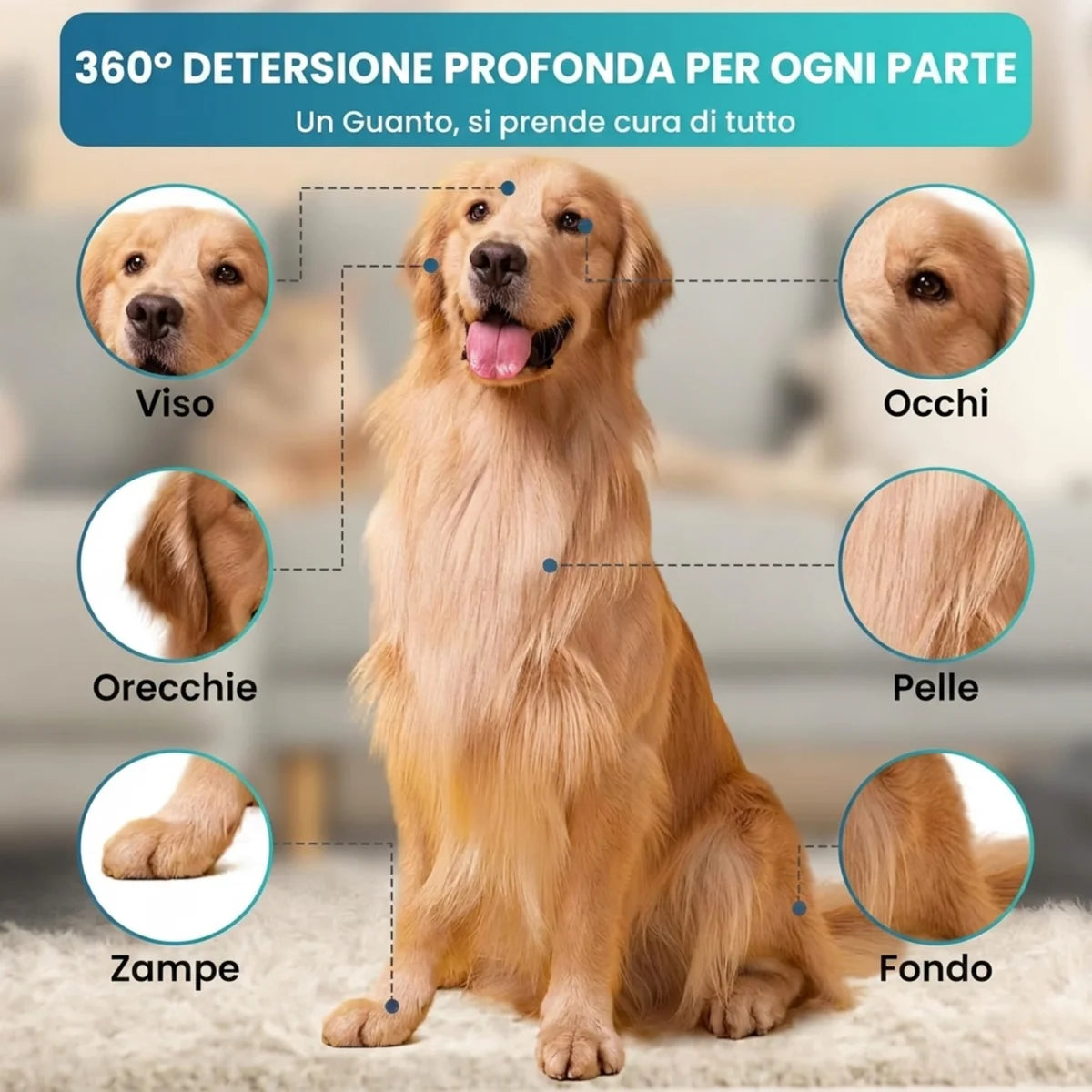 Guanti Detergenti Senza Risciacquo per Cani e Gatti